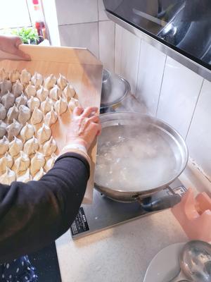 荠菜饺子（鲜美的秘密）的做法 步骤15