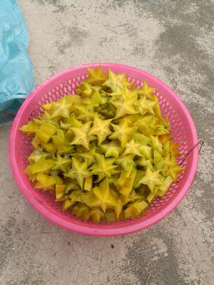 新兴凉果之腌杨桃的做法 步骤2