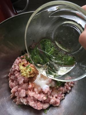 白萝卜鲜肉水饺的做法 步骤8