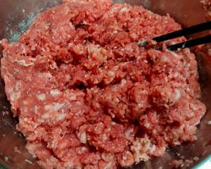 牛肉萝卜包子/牛肉圆葱包子的做法 步骤2