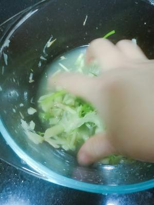 白萝卜粉丝猪肉包子（附视频。一次性发酵。）的做法 步骤3
