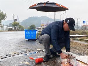 酸爽开胃解腻的萝卜醋鱼的做法 步骤1