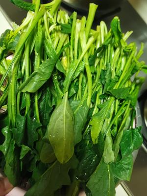 菠菜鸡蛋饼的做法 步骤1