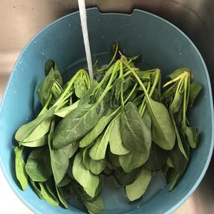 菠菜鸡蛋饼（1岁以上宝宝辅食）的做法 步骤1