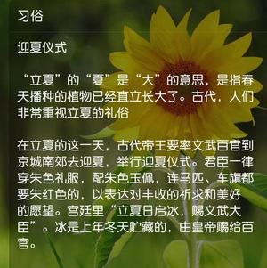 抓住春天的尾巴菠菜三角馒头 *花儿馒头202的做法 步骤21