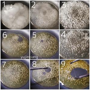 ?从来没失败过的拔丝地瓜（看不到地瓜块儿的拔丝地瓜）?的做法 步骤8
