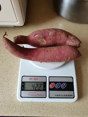 自制有机红薯淀粉的做法 步骤14