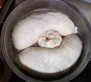 胡萝卜牛肉包子的做法 步骤27