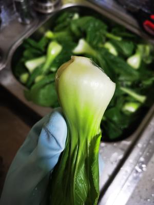 青菜香菇胡萝卜肉丁包子馅，青菜嘎嘣脆，秋冬来上一笼热腾腾的包子的做法 步骤1