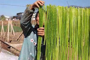 香脆莴苣干（孩子很喜欢吃~不辣！）的做法 步骤4