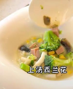 上汤西兰花配鸡肉卷 西兰花炒虾仁的做法 步骤17