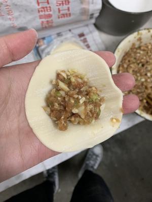 圆白菜馅饺子的做法 步骤7