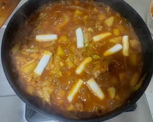 白钟元春川铁板鸡（适合新手）的做法 步骤11
