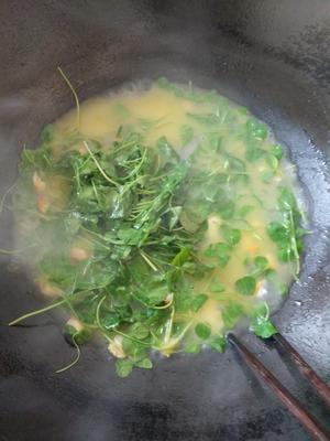 上汤金花菜（上汤草头，秧草）的做法 步骤12