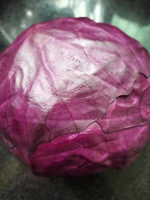 减脂解腻凉拌紫甘蓝的做法 步骤1