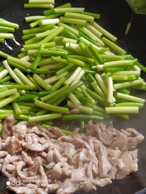 辣椒蒜薹炒肉的做法 步骤4
