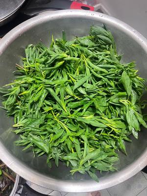 蒸扫帚菜 蒸苋菜的做法 步骤1