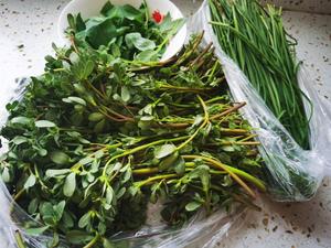 马苋菜荆芥卷韭菜菜馍❗ 软软的嫩嫩的的做法 步骤4