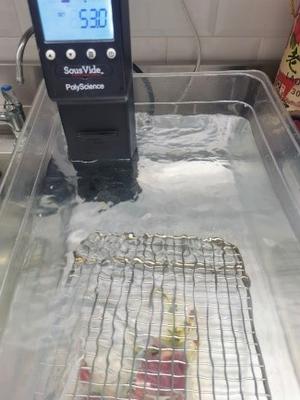 慢煮牛肉薄片佐南瓜泥和腌渍红菜头的做法 步骤3