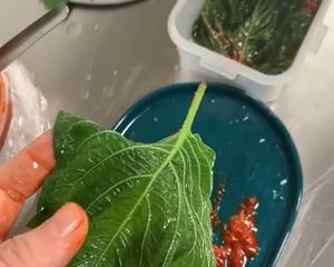 苏叶干粮的做法 步骤18