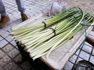 土鳝鱼炒邻水蒜薹（把春天吃进肚子里）的做法 步骤5