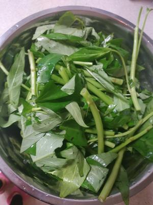 清炒空心菜的做法 步骤1