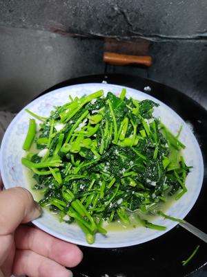 简单的家常菜蒜泥空心菜的做法 步骤5