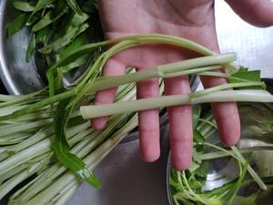 鸡汁虾油通心菜+太太乐鲜鸡汁快手菜的做法 步骤5