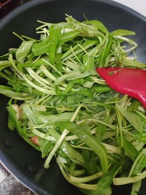 鸡汁虾油通心菜+太太乐鲜鸡汁快手菜的做法 步骤13