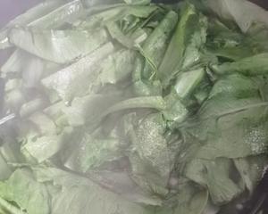 炒油麦菜（蒜蓉油麦菜）的做法 步骤9