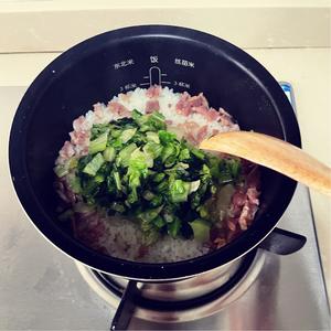 有手就会做的～电饭煲香肠菜饭～(咸肉菜饭)的做法 步骤7