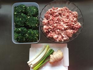 荠菜鲜肉饺子的做法 步骤1