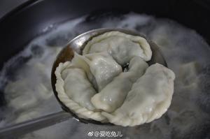 荠菜肉水饺的做法 步骤21