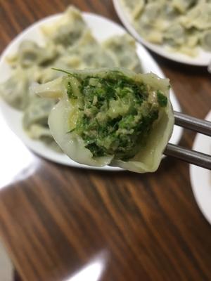 野豌豆苗饺子?的做法 步骤8