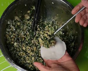 荠菜鸡蛋虾皮瑶柱粉丝饺子的做法 步骤9