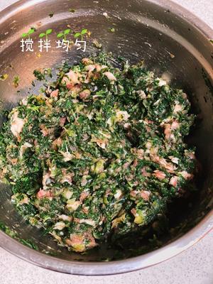 荠菜肉馄饨的做法 步骤8