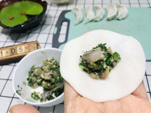 鲜掉眉毛的荠菜水饺（荠菜虾肉水饺）的做法 步骤23