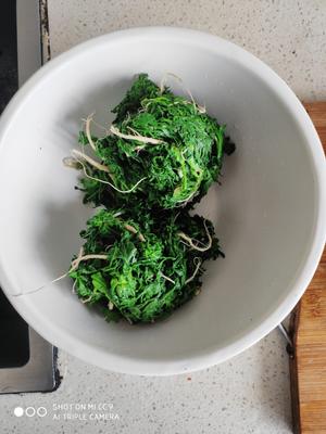 荠菜猪肉饺子，荠菜蛤蜊肉饺子（两种饺子馅拌馅方法）的做法 步骤4