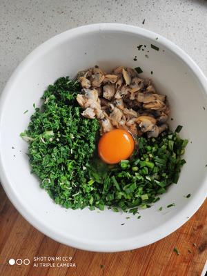 荠菜猪肉饺子，荠菜蛤蜊肉饺子（两种饺子馅拌馅方法）的做法 步骤18