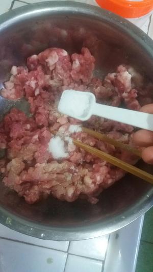 荠菜冬笋鲜肉饺子的做法 步骤11