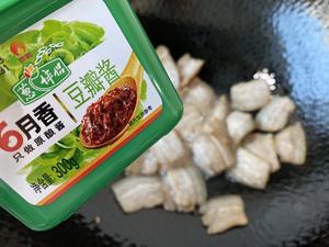 川味回锅肉盖浇饭的做法 步骤17