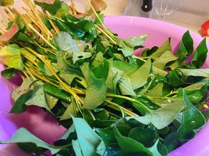 传说中的黑暗料理:鱼腥草糍粑的做法 步骤1