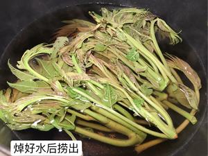 香椿炒鸡蛋（煎蛋）做法的做法 步骤4