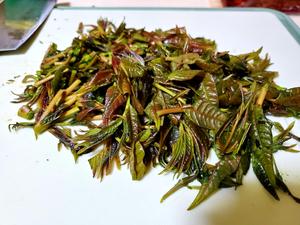 春季时令菜：香椿炒鸡蛋的做法 步骤1