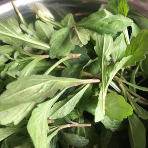 马兰煎饼的做法 步骤1