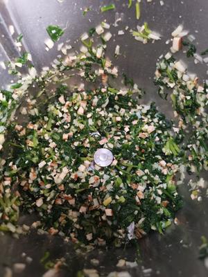 【馬蘭頭：涼拌與清炒】春天裏的菜的做法 步骤5