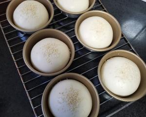 汉堡胚（波兰种）的做法 步骤9