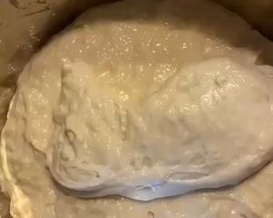 佛卡夏Focaccia 波兰种的做法 步骤4