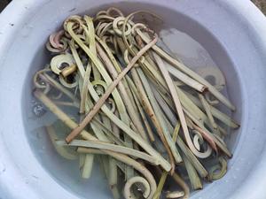 蕨菜的处理方法的做法 步骤4