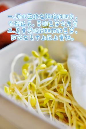 保姆级发豆芽教程，新手一次成功～马上点赞收藏～的做法 步骤7